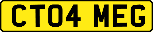 CT04MEG