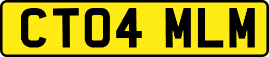 CT04MLM