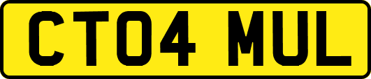 CT04MUL