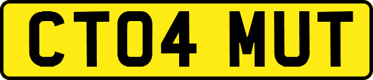CT04MUT