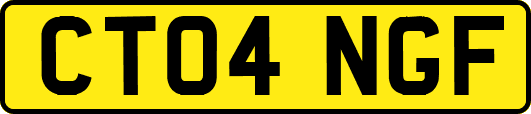 CT04NGF