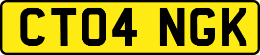 CT04NGK