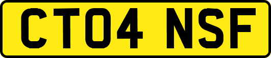 CT04NSF
