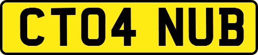 CT04NUB