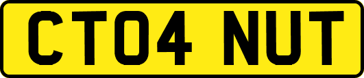 CT04NUT