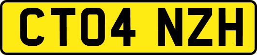 CT04NZH