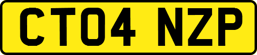 CT04NZP