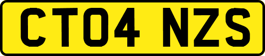 CT04NZS