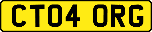 CT04ORG