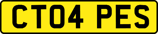 CT04PES