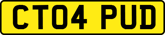 CT04PUD