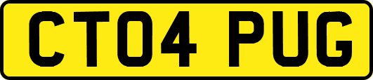 CT04PUG