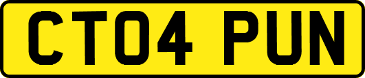 CT04PUN