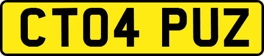 CT04PUZ
