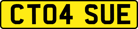 CT04SUE