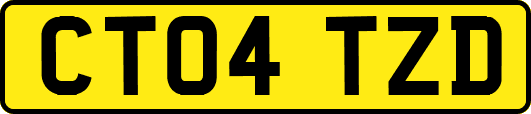 CT04TZD