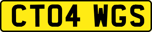 CT04WGS