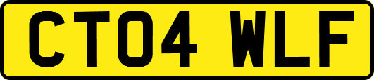 CT04WLF