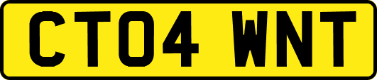 CT04WNT