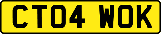 CT04WOK