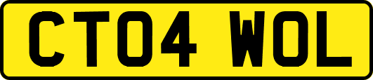 CT04WOL