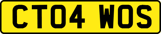CT04WOS