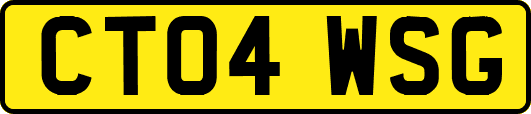 CT04WSG