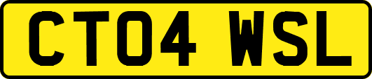 CT04WSL