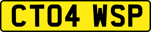 CT04WSP