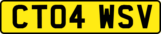 CT04WSV