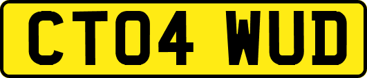 CT04WUD