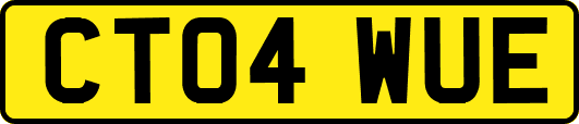 CT04WUE
