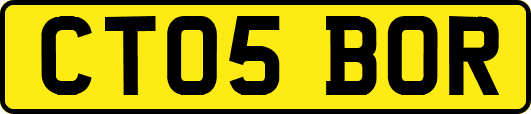CT05BOR
