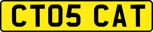 CT05CAT