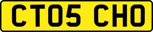 CT05CHO
