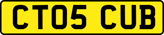 CT05CUB