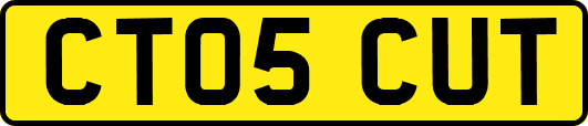 CT05CUT