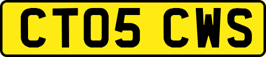 CT05CWS
