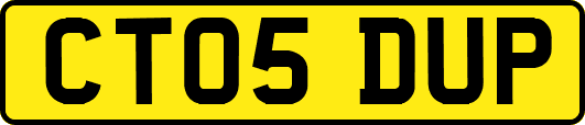 CT05DUP