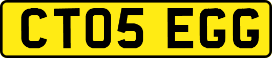 CT05EGG