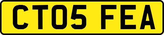 CT05FEA