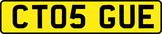 CT05GUE