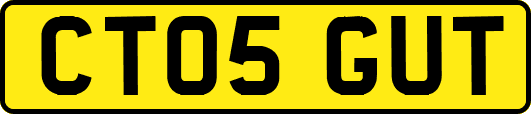 CT05GUT