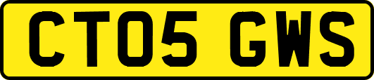 CT05GWS