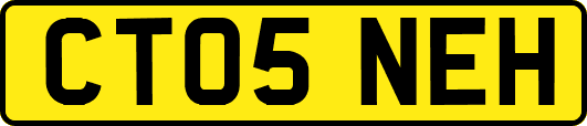 CT05NEH