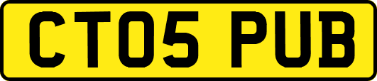CT05PUB