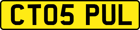 CT05PUL