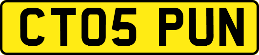 CT05PUN