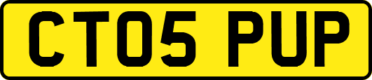 CT05PUP