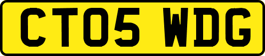 CT05WDG